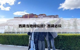 西藏当地纯玩团？西藏必玩