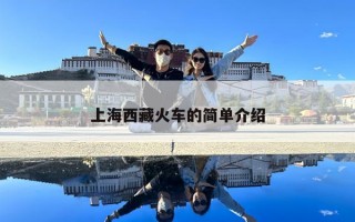 上海西藏火车的简单介绍