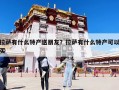 拉萨有什么特产送朋友？拉萨有什么特产可以买