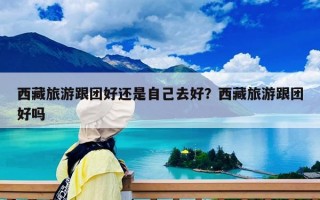 西藏旅游跟团好还是自己去好？西藏旅游跟团好吗