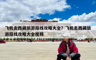 飞机去西藏旅游路线攻略大全？飞机去西藏旅游路线攻略大全视频