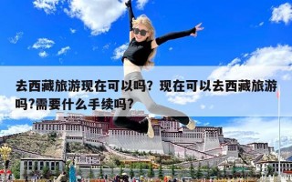 去西藏旅游现在可以吗？现在可以去西藏旅游吗?需要什么手续吗?