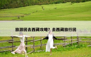 旅游团去西藏攻略？去西藏旅行团