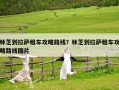 林芝到拉萨租车攻略路线？林芝到拉萨租车攻略路线图片