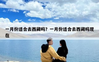 一月份适合去西藏吗？一月份适合去西藏吗现在