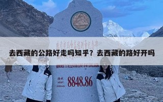 去西藏的公路好走吗知乎？去西藏的路好开吗