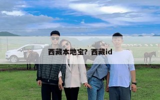西藏本地宝？西藏id