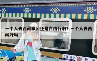 一个人去西藏跟团还是自由行啊？一个人去西藏好吗