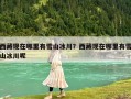 西藏现在哪里有雪山冰川？西藏现在哪里有雪山冰川呢