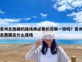 贵州去西藏的路线跟必要的花销一样吗？贵州去西藏走什么路线