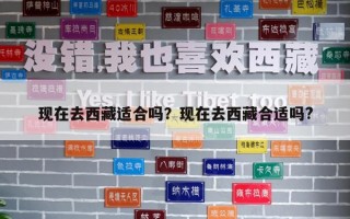 现在去西藏适合吗？现在去西藏合适吗?