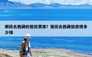 跟团去西藏的报团费用？报团去西藏旅游得多少钱