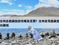 沧州去西藏旅游攻略及花费？沧州自驾西藏走川藏线