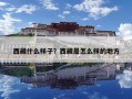 西藏什么样子？西藏是怎么样的地方