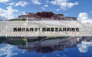 西藏什么样子？西藏是怎么样的地方