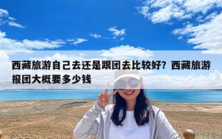 西藏旅游自己去还是跟团去比较好？西藏旅游报团大概要多少钱