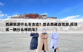 西藏旅游什么车合适？想去西藏自驾游,应该买一辆什么样的车?