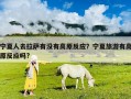 宁夏人去拉萨有没有高原反应？宁夏旅游有高原反应吗?