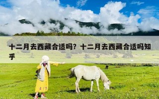 十二月去西藏合适吗？十二月去西藏合适吗知乎