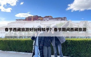 春节西藏旅游好玩吗知乎？春节期间西藏旅游