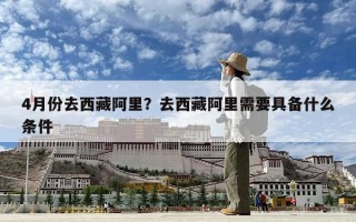 4月份去西藏阿里？去西藏阿里需要具备什么条件