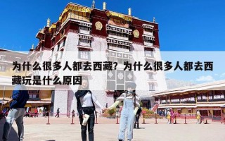 为什么很多人都去西藏？为什么很多人都去西藏玩是什么原因