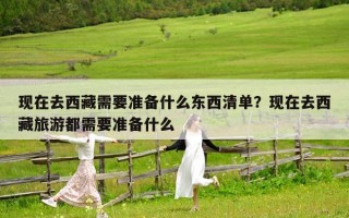 现在去西藏需要准备什么东西清单？现在去西藏旅游都需要准备什么