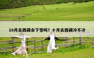 10月去西藏会下雪吗？十月去西藏冷不冷