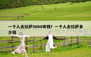 一个人去拉萨5000块钱？一个人去拉萨多少钱