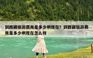 到西藏旅游费用是多少啊现在？到西藏旅游费用是多少啊现在怎么样
