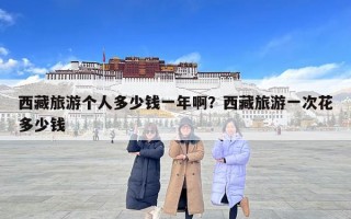 西藏旅游个人多少钱一年啊？西藏旅游一次花多少钱