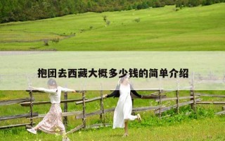 抱团去西藏大概多少钱的简单介绍