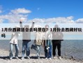 1月份西藏适合去吗现在？1月份去西藏好玩吗