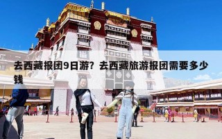去西藏报团9日游？去西藏旅游报团需要多少钱