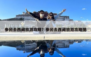 参团去西藏旅游攻略？参团去西藏旅游攻略图