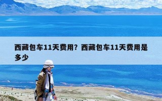 西藏包车11天费用？西藏包车11天费用是多少