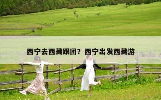 西宁去西藏跟团？西宁出发西藏游