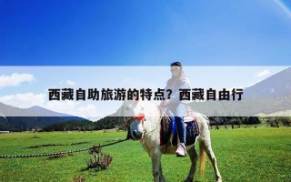 西藏自助旅游的特点？西藏自由行