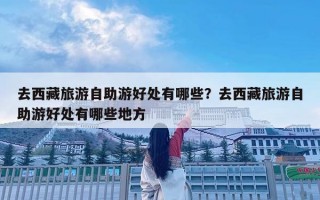 去西藏旅游自助游好处有哪些？去西藏旅游自助游好处有哪些地方