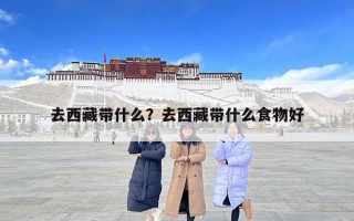 去西藏带什么？去西藏带什么食物好