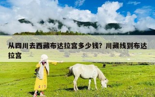 从四川去西藏布达拉宫多少钱？川藏线到布达拉宫