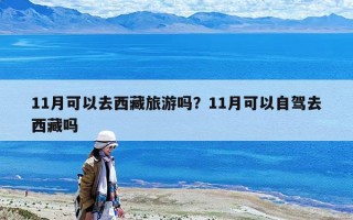 11月可以去西藏旅游吗？11月可以自驾去西藏吗