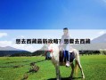 想去西藏最新攻略？想要去西藏