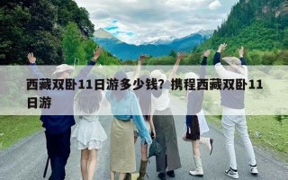 西藏双卧11日游多少钱？携程西藏双卧11日游