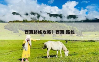 西藏路线攻略？西藏 路线