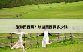 旅游团西藏？旅游团西藏多少钱