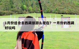 1月份适合去西藏旅游么现在？一月份的西藏好玩吗