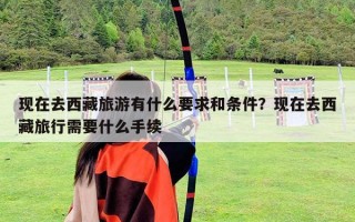 现在去西藏旅游有什么要求和条件？现在去西藏旅行需要什么手续