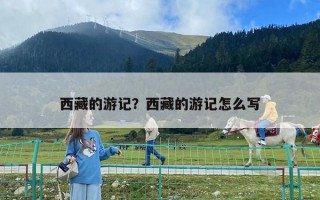 西藏的游记？西藏的游记怎么写