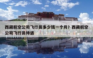 西藏航空公司飞行员多少钱一个月？西藏航空公司飞行员待遇